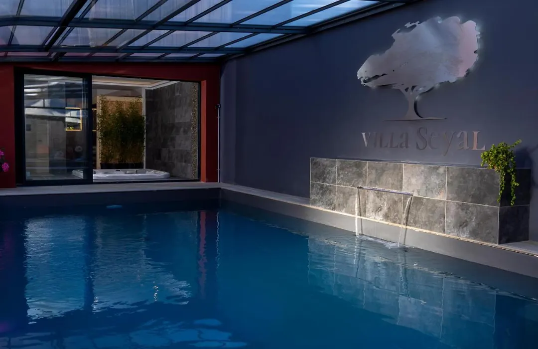Villa Seyal - avec piscine - jacuzzi - sauna&climatisation-1